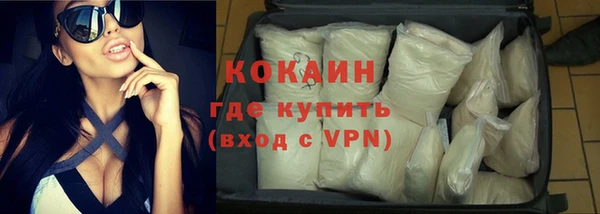мет Алексин