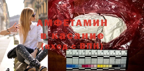 мет Алексин
