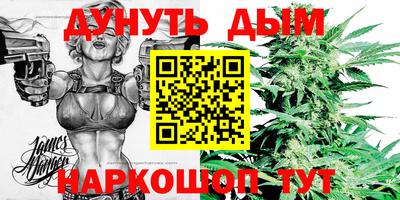 скорость Кингисепп