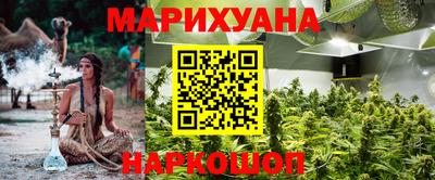 скорость Кингисепп