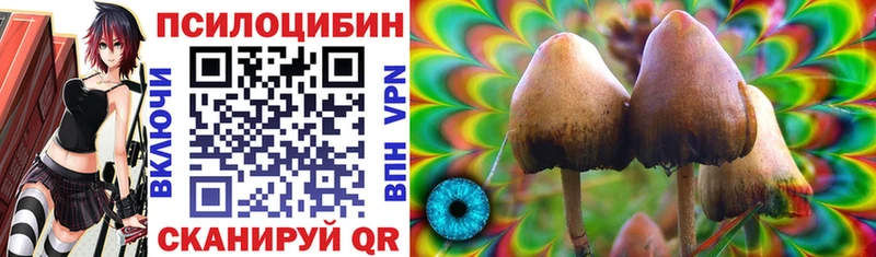 Галлюциногенные грибы Psilocybine cubensis  blacksprut зеркало  Кыштым 