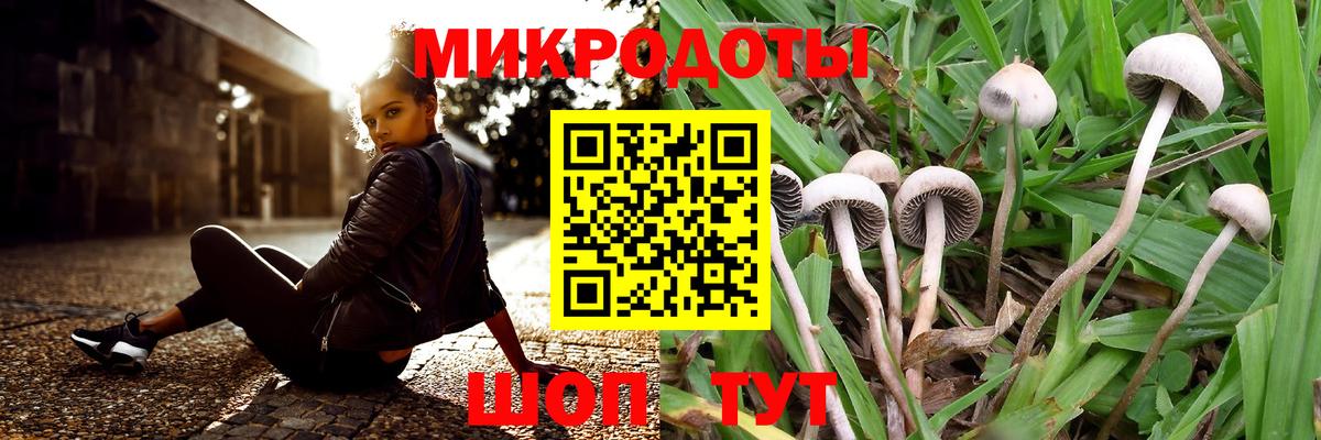 Галлюциногенные грибы мухоморы  Вход с VPN  Кыштым 